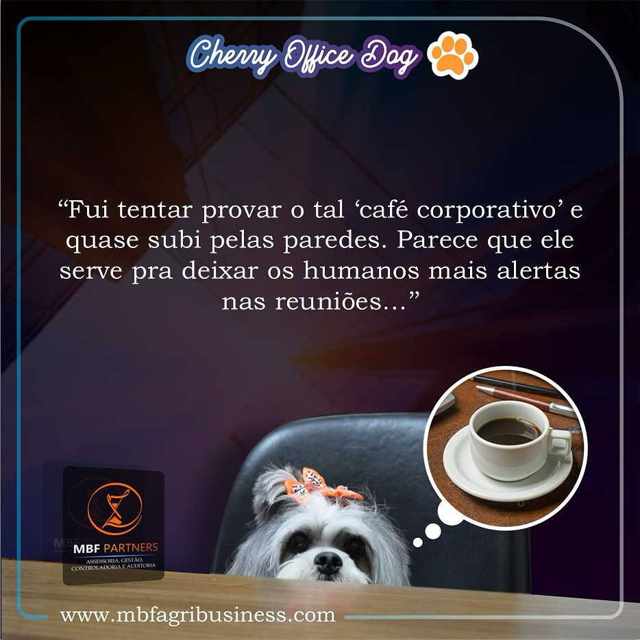 Oi, sou a Cherry ☕ e confesso: hoje fui movida pela curiosidade (e pelo cheiro forte!). Mas entendi uma coisa… Esse tal de café parece ser parte do ritual sagrado da produtividade!
Os humanos da MBF falaram que manter o foco é essencial, principalmente em dias puxados. E olha, eles também falaram que produtividade não é trabalhar mais, é trabalhar melhor.
(Mas ainda prefiro um petisco de frango ao invés desse líquido amargo 🐶)